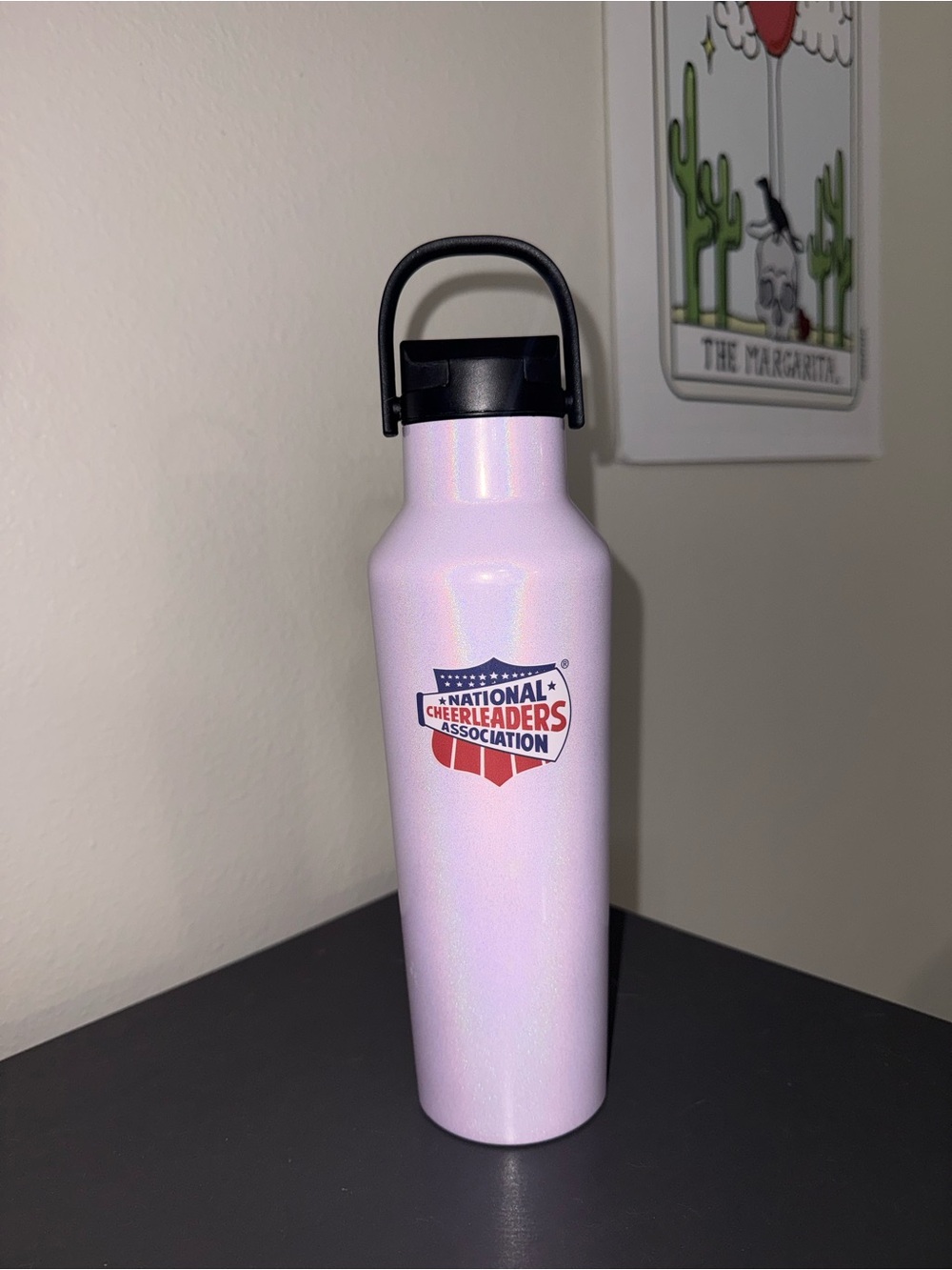 Pink Stainless Water Bottle